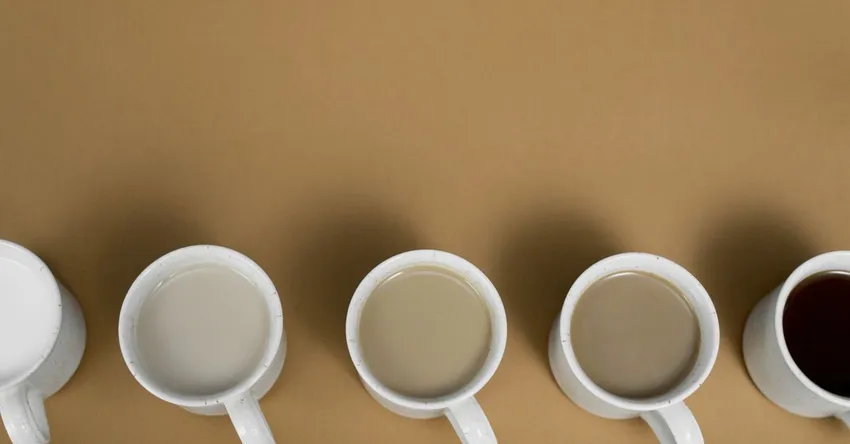 From Bottle to Brand Advocate: How Coffee Chains Turn Every Cup into a Relationship